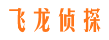 芦山市婚外情调查